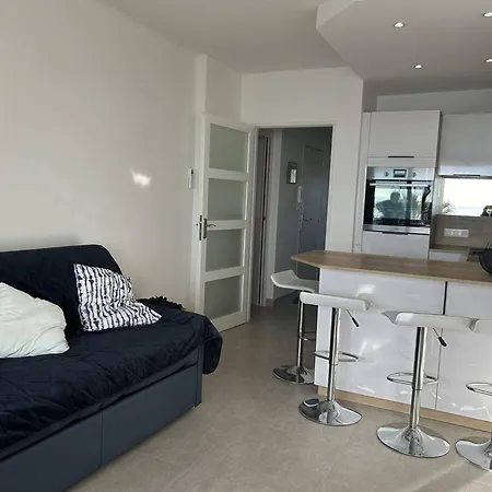 Apartament Renove Avec Garage Et Climatisation Au Lavandou - Fr-1-251-850 Le Lavandou