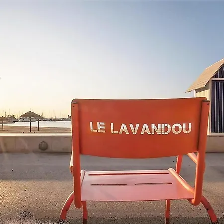 Renove Avec Garage Et Climatisation Au Lavandou - Fr-1-251-850 Apartament Le Lavandou