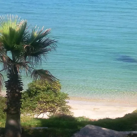 Lägenhet Renove Avec Garage Et Climatisation Au Lavandou - Fr-1-251-850 *