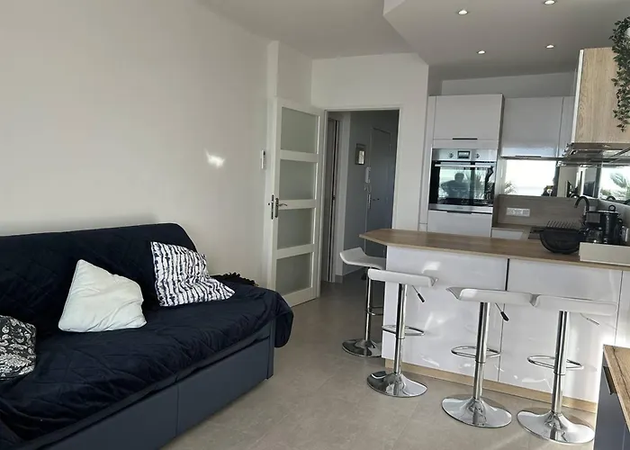 Апартаменти Renove Avec Garage Et Climatisation Au Lavandou - Fr-1-251-850 Ле-Лаванду