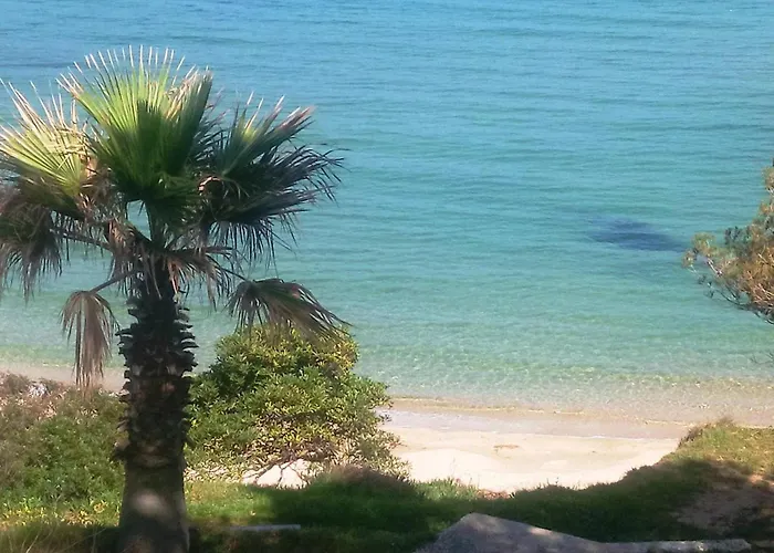 Апартаменти Renove Avec Garage Et Climatisation Au Lavandou - Fr-1-251-850 *